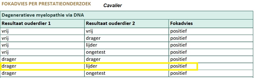 cavalier DM lijder x drager